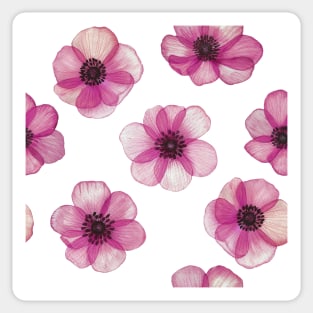 Transparent Pink Anemones watercolor print. Translucent Poppy flowers spring romantic composition Sticker